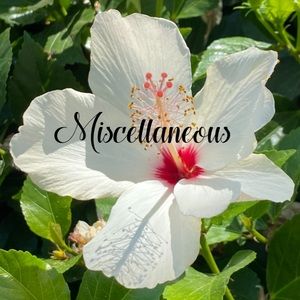 Miscellaneous treasures